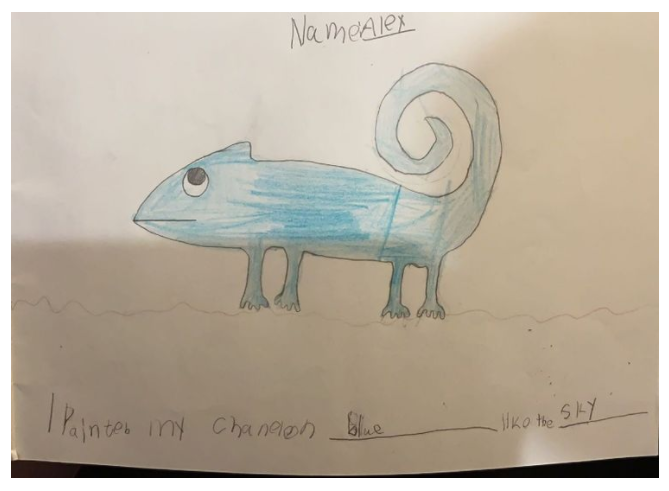 Ongoing Study, Ongoing Happiness(图9)