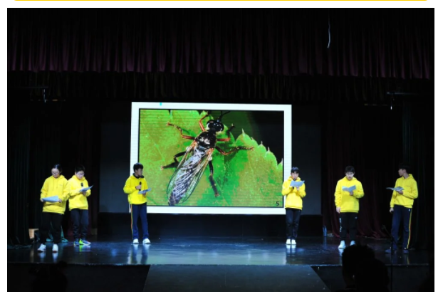 Assembly: An Hour of Honor(图7)