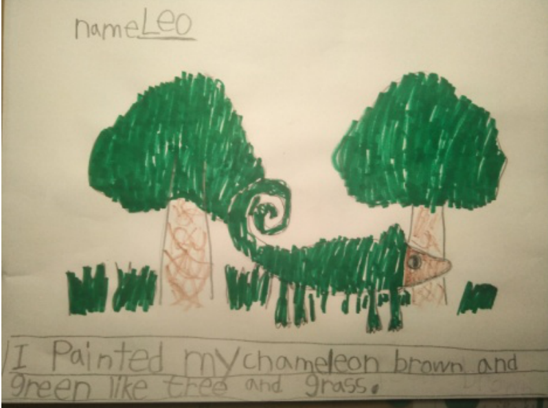 Ongoing Study, Ongoing Happiness(图13)