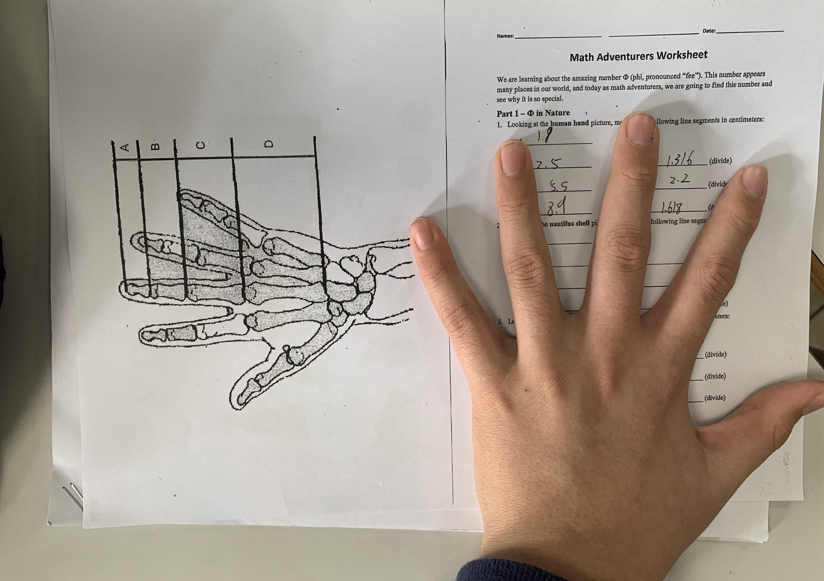 ASDAN! We returned with honour!(图3)